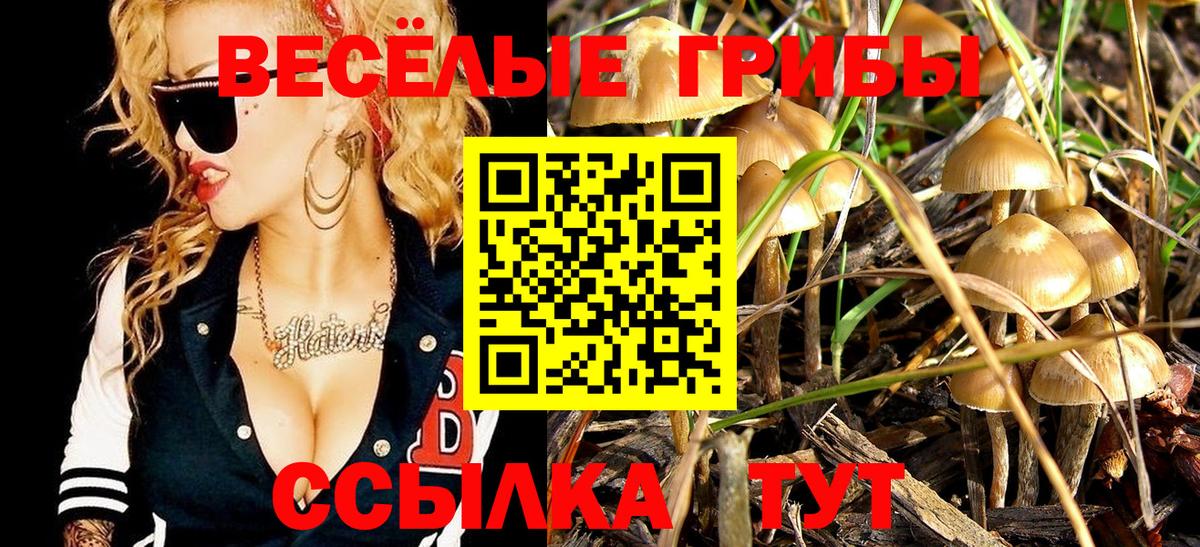 Галлюциногенные грибы Magic Shrooms Холмск