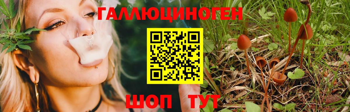Холмск  Галлюциногенные грибы мицелий  Вход с VPN  Псилоцибиновые грибы GOLDEN TEACHER 